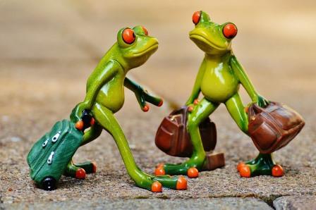 FIRST FLIGHT FROGS