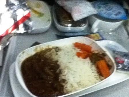 In flight food