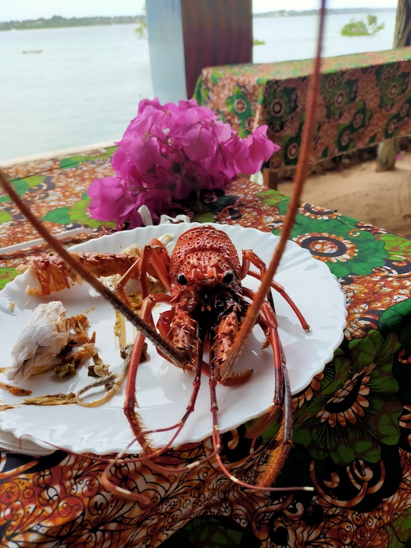 lobster